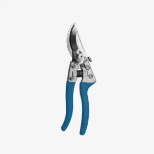 Pruning Shear